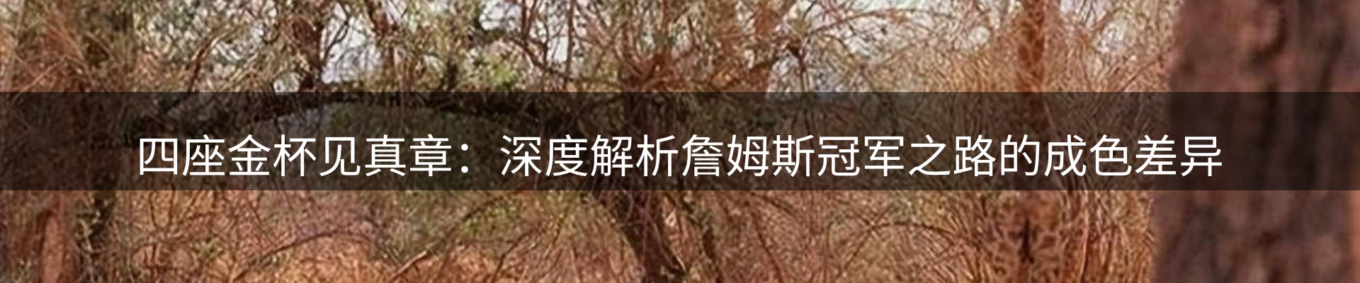 内页banner