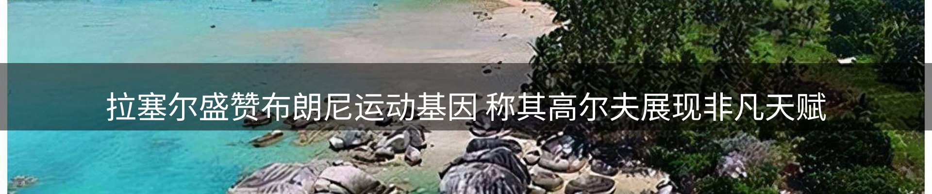 内页banner