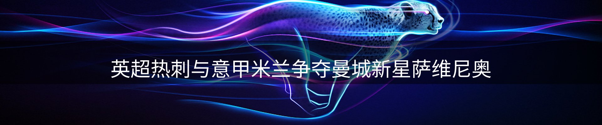 内页banner