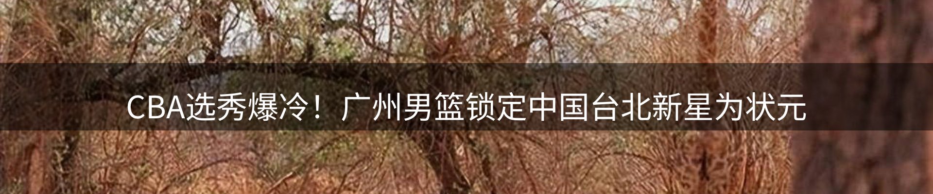 内页banner
